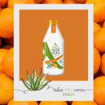 ALOE VERA – ORANGE